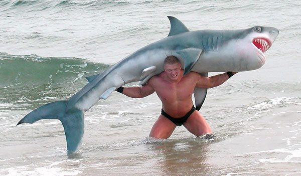 853e32_932d750ee618452884f614fcf5aed9b6.jpg_srz_600_351_85_22_0.50_1.20_0.00_jpg_srz