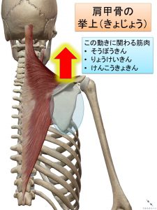 %e3%82%b9%e3%83%a9%e3%82%a4%e3%83%891