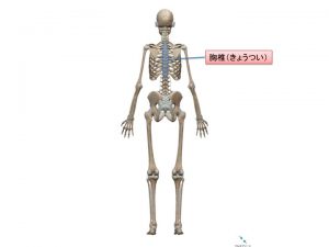 %e3%82%b9%e3%83%a9%e3%82%a4%e3%83%891