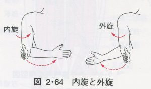 o0656038611088836941