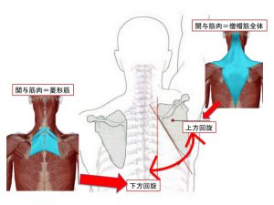 %e3%82%b9%e3%83%a9%e3%82%a4%e3%83%891