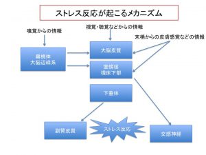 %e3%82%b9%e3%83%a9%e3%82%a4%e3%83%891