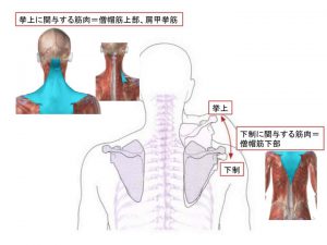 %e3%82%b9%e3%83%a9%e3%82%a4%e3%83%893