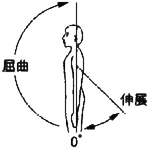 %e8%82%a9%e9%96%a2%e7%af%80%e5%b1%88%e6%9b%b2%e3%83%bb%e4%bc%b8%e5%b1%95